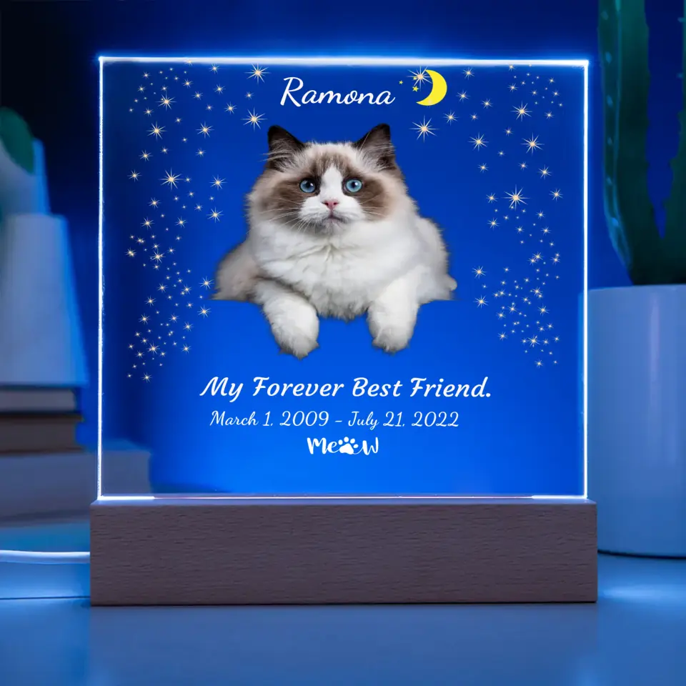 My Cat My Friend Night Light