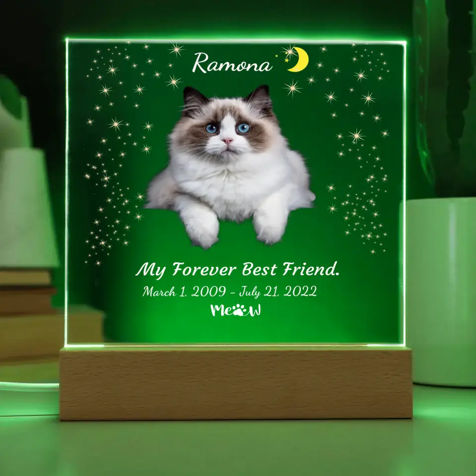 My Cat My Friend Night Light