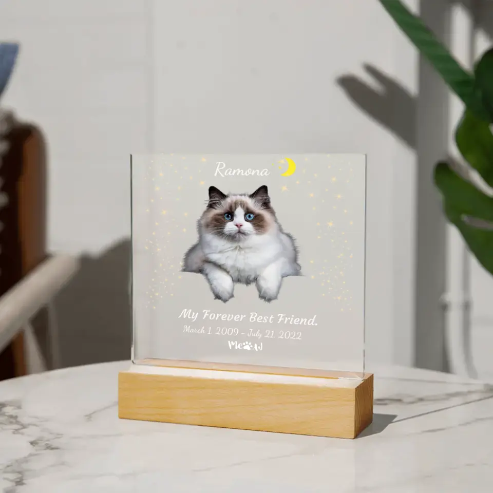 My Cat My Friend Night Light