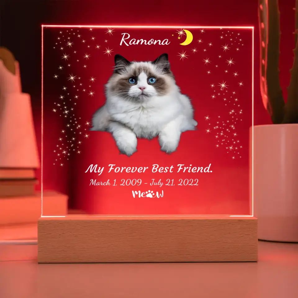 My Cat My Friend Night Light