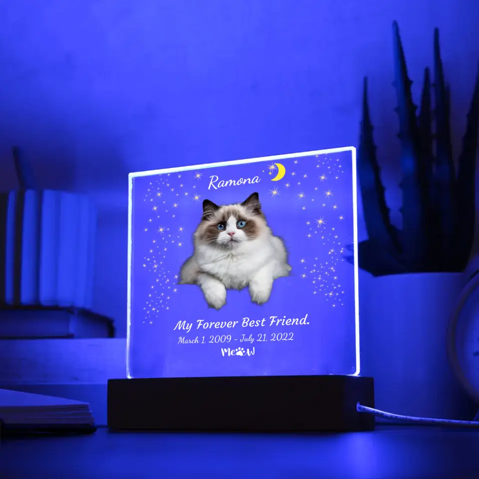 My Cat My Friend Night Light