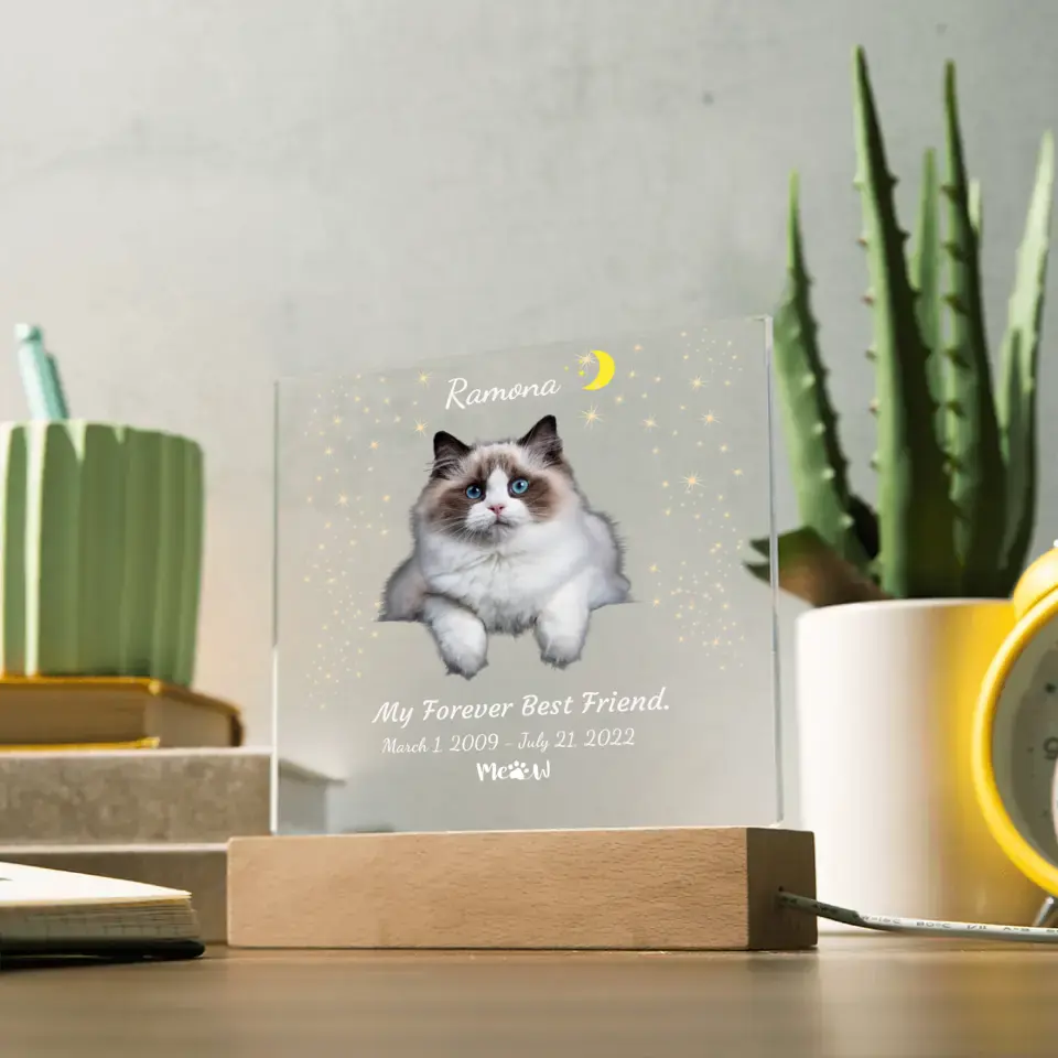 My Cat My Friend Night Light