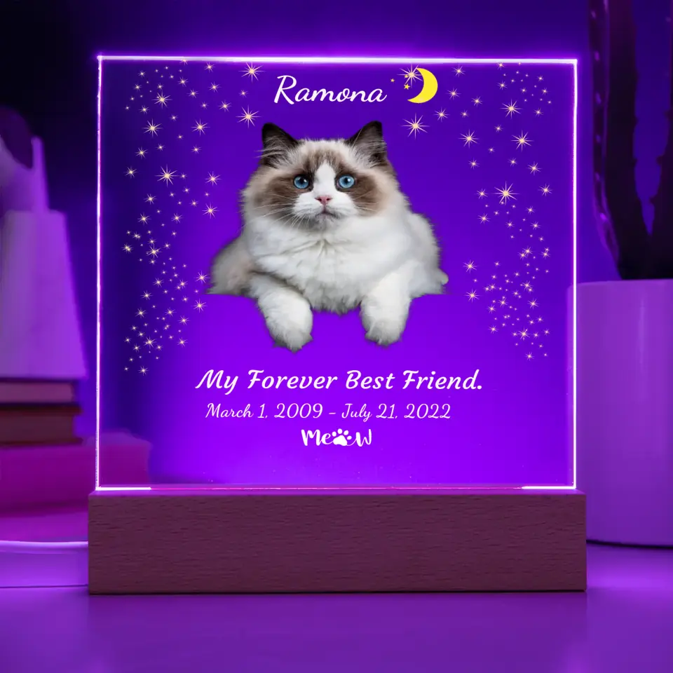 My Cat My Friend Night Light