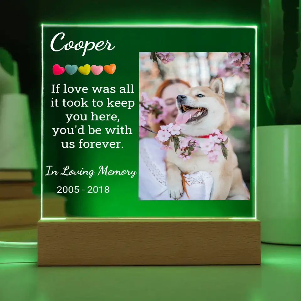Pet's Night Light With Picture Upload