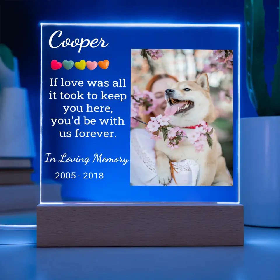 Pet's Night Light With Picture Upload