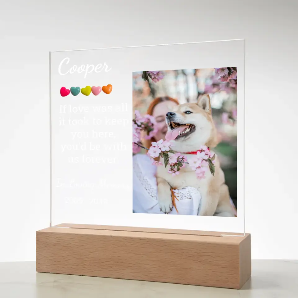 Pet's Night Light With Picture Upload
