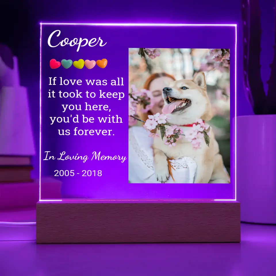 Pet's Night Light With Picture Upload