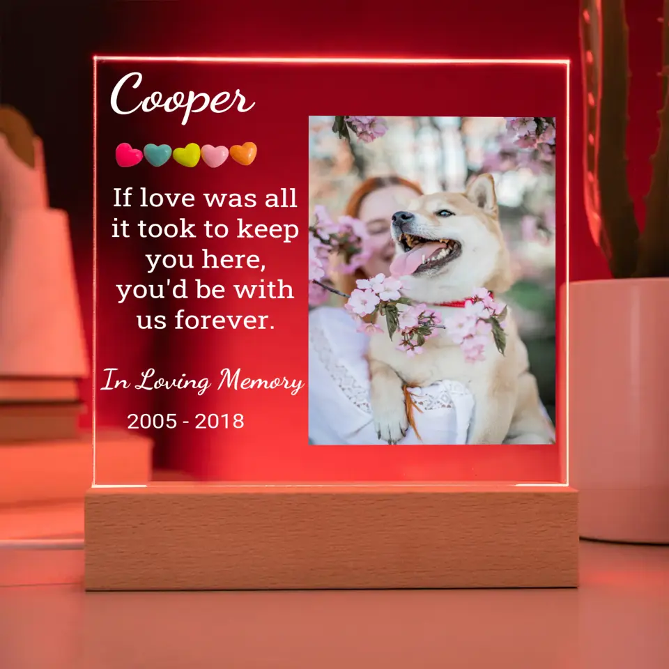 Pet's Night Light With Picture Upload