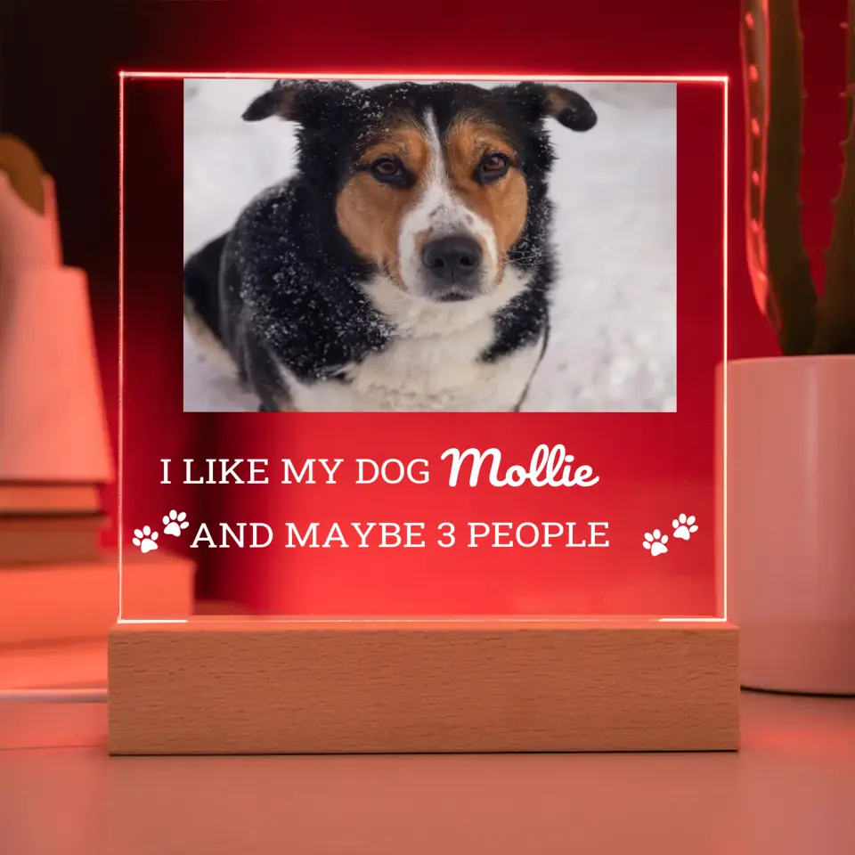I like My Dog And 3 People Table Lamp