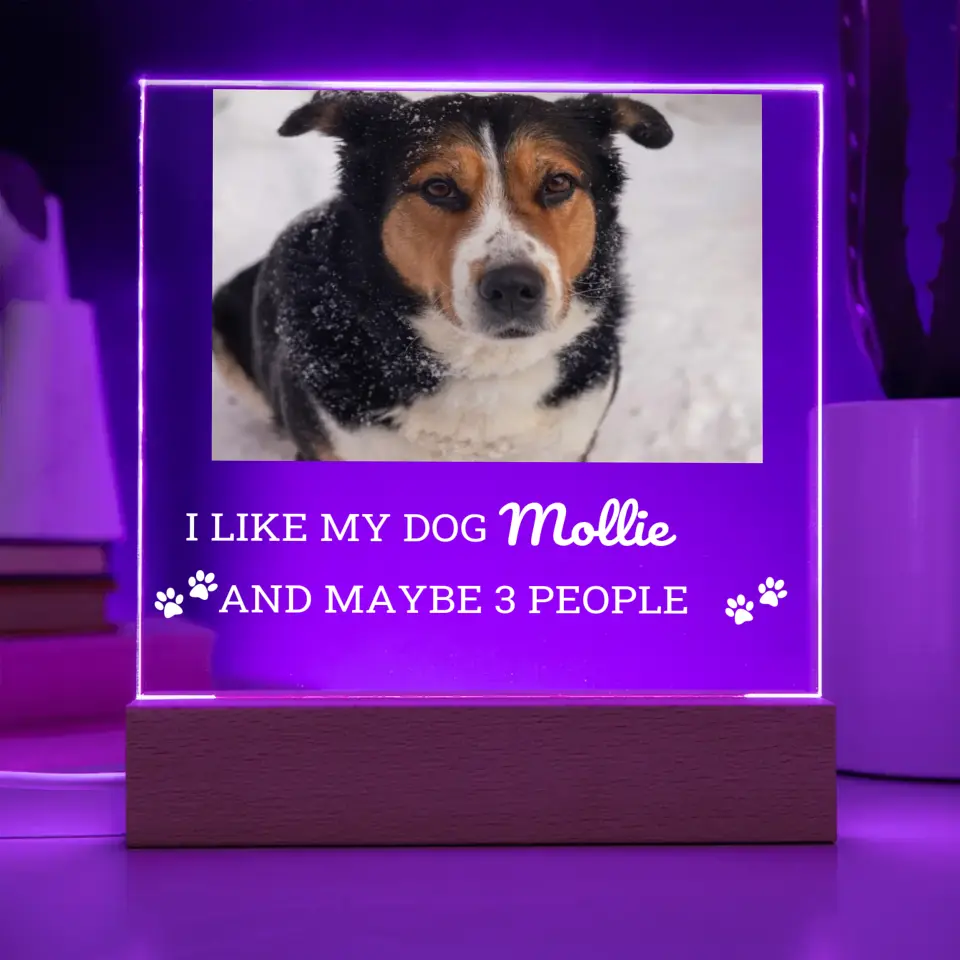 I like My Dog And 3 People Table Lamp