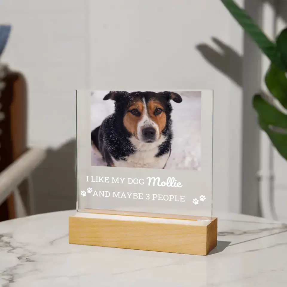 I like My Dog And 3 People Table Lamp