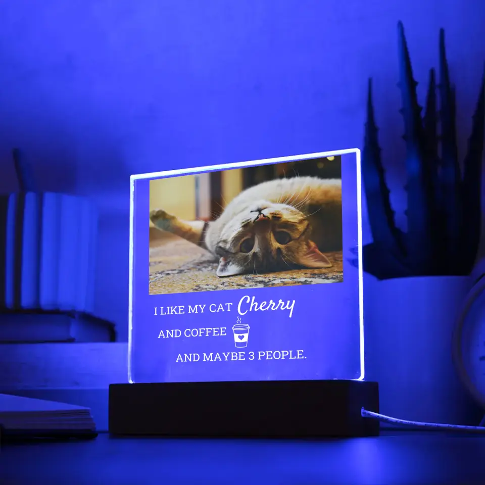 I Like My Cat And Coffee Table Lamp