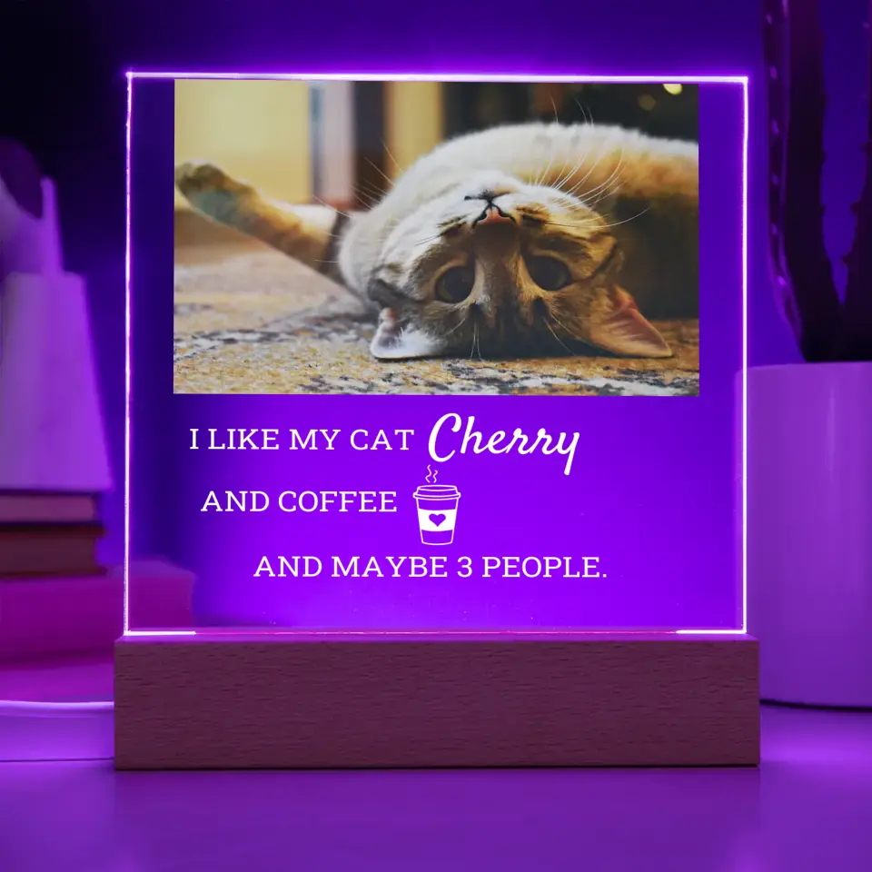 I Like My Cat And Coffee Table Lamp