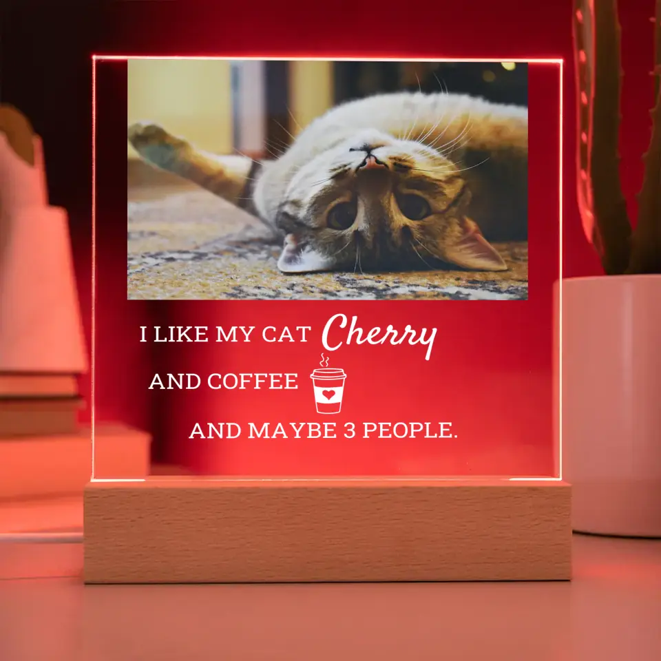 I Like My Cat And Coffee Table Lamp