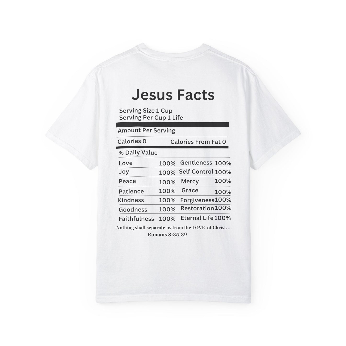 Jesus Facts Unisex Garment-Dyed T-shirt