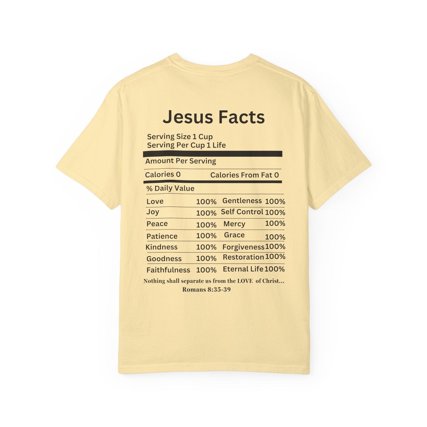 Jesus Facts Unisex Garment-Dyed T-shirt