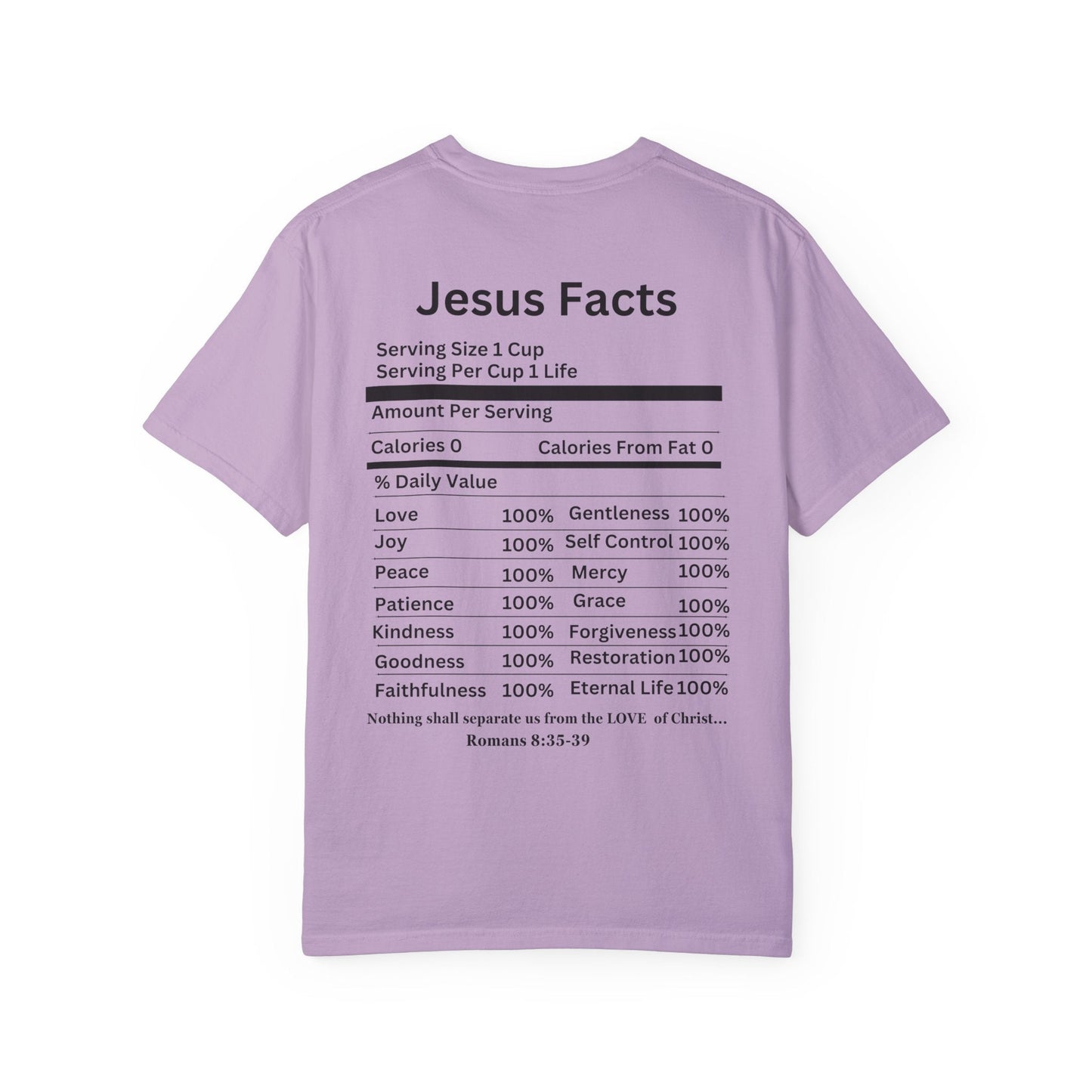 Jesus Facts Unisex Garment-Dyed T-shirt