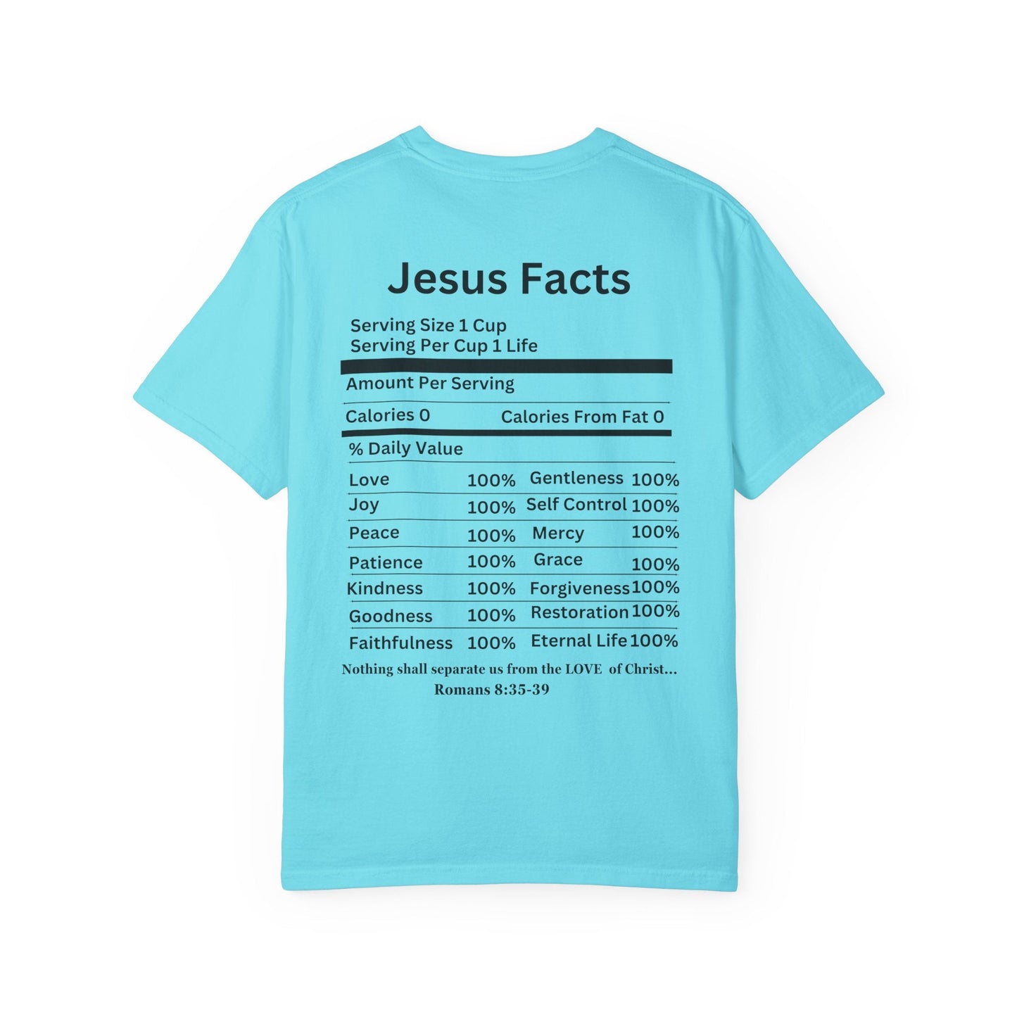 Jesus Facts Unisex Garment-Dyed T-shirt