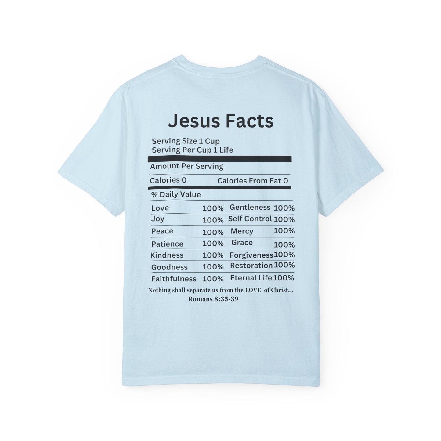 Jesus Facts Unisex Garment-Dyed T-shirt