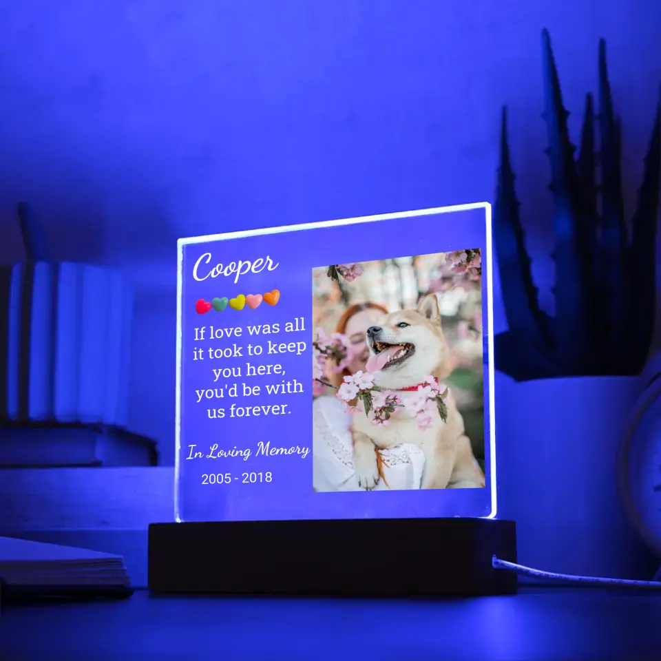 Pet's Night Light With Picture Upload