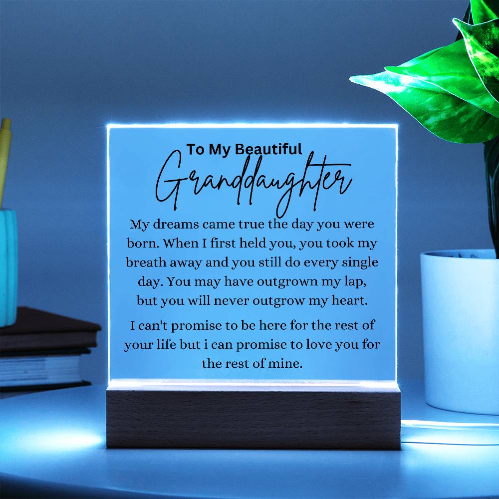 You Are My Dream Came True Granddaughter Acrylic Square Plaque